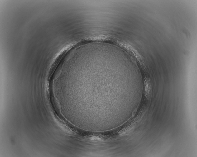 X0000112800684200908281529