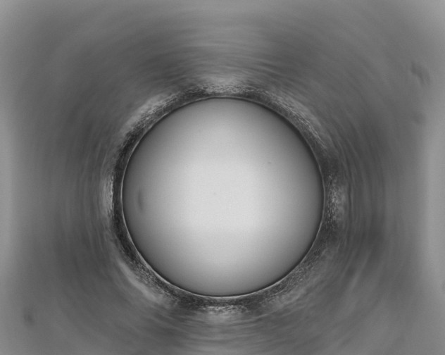 X0000112800686200908281529
