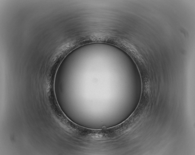 X0000112800687200908281529