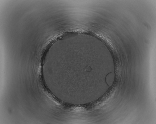 X0000112800689200908281529