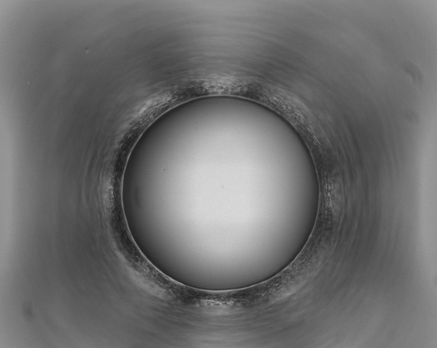 X0000112800690200908281529
