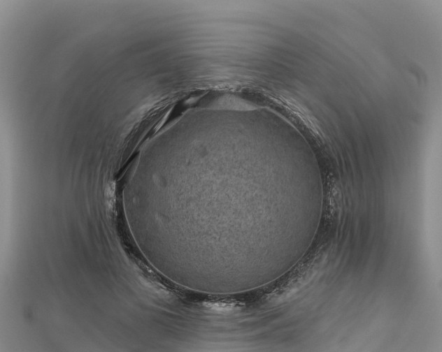 X0000112800693200908281528