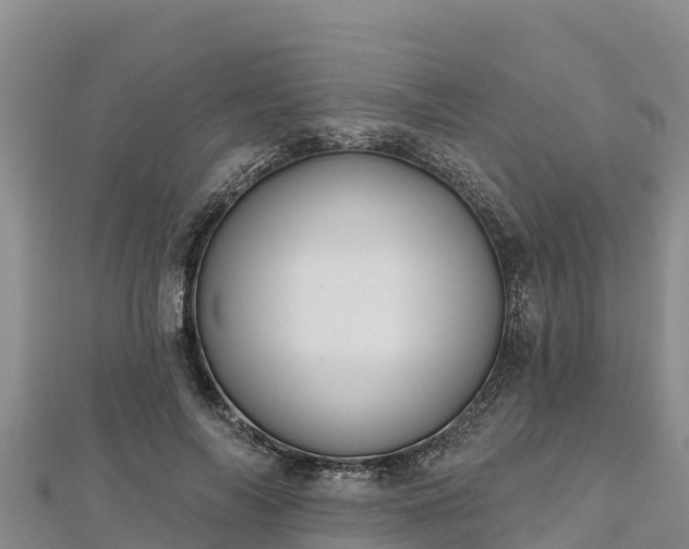X0000112800694200908281528