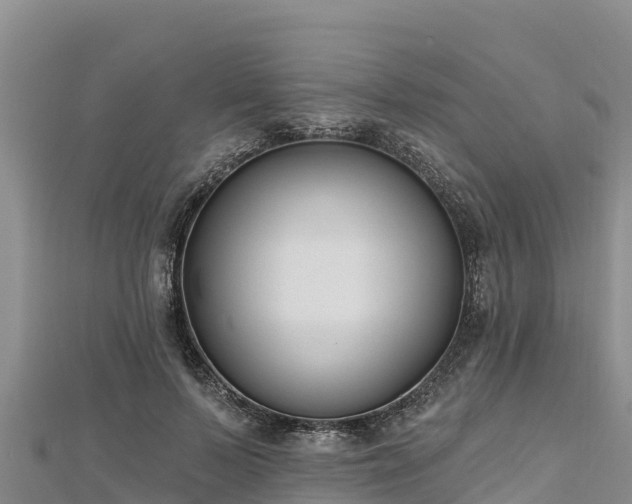 X0000112800695200908281528