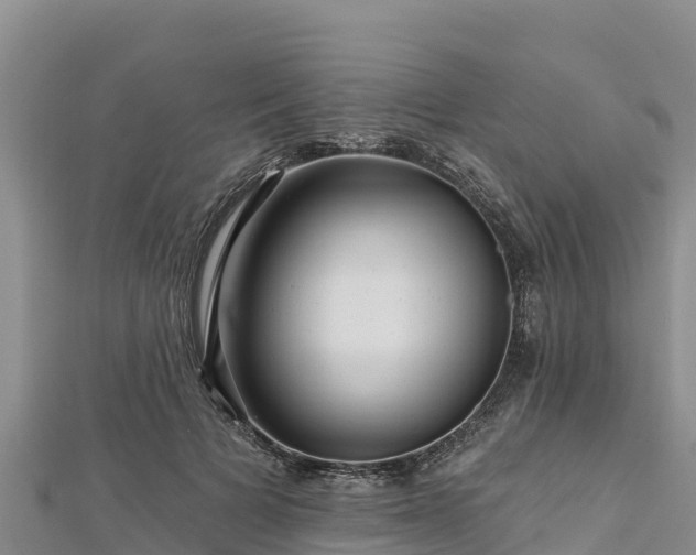 X0000112800697200908281528