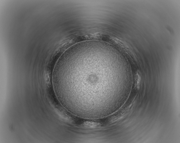X0000112800699200908281528