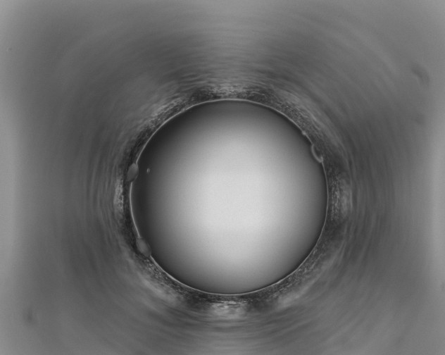 X0000112800700200908281528