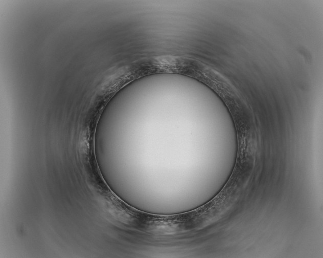 X0000112800702200908281528