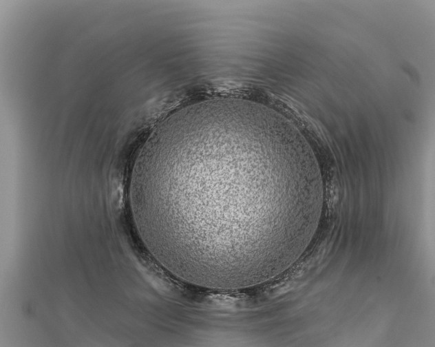 X0000112800703200908281528