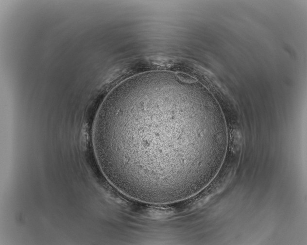 X0000112800707200908281528