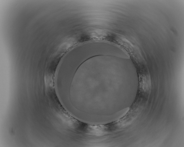 X0000112800712200908281528