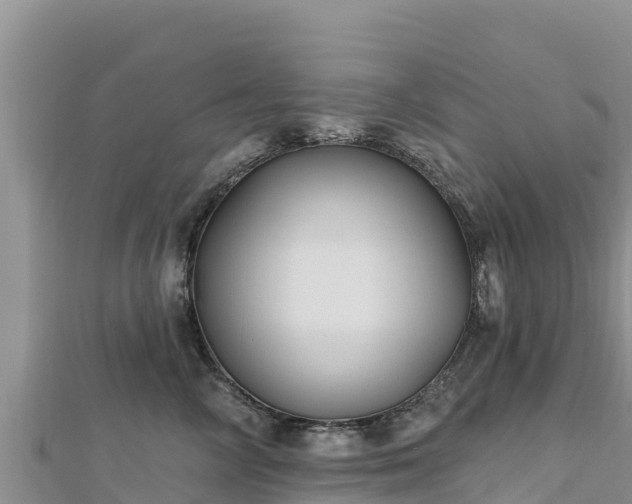 X0000112800714200908281528