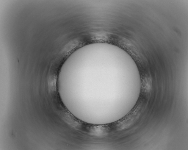 X0000112800717200908281528