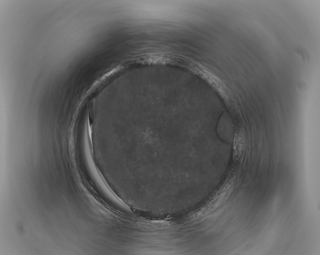 X0000112800722200908281527