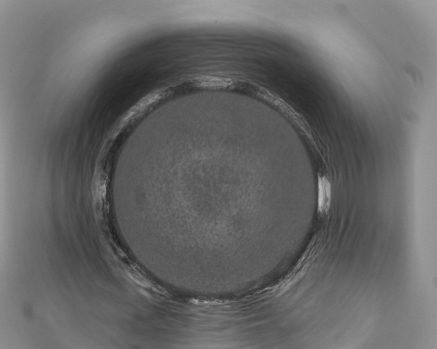 X0000112800723200908281527