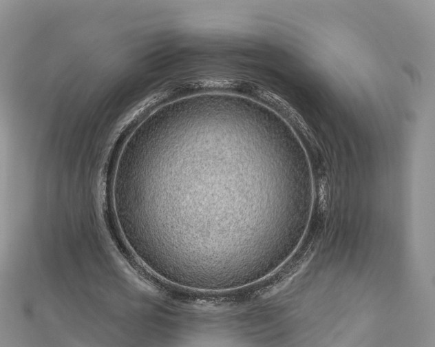 X0000112800725200908281527