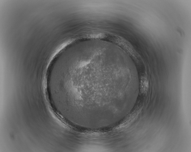 X0000112800726200908281527