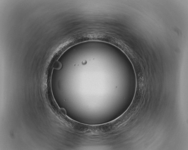 X0000112800727200908281527