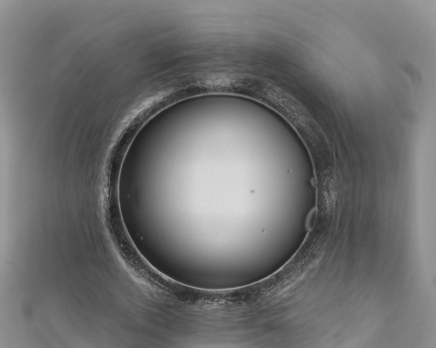 X0000112800728200908281527