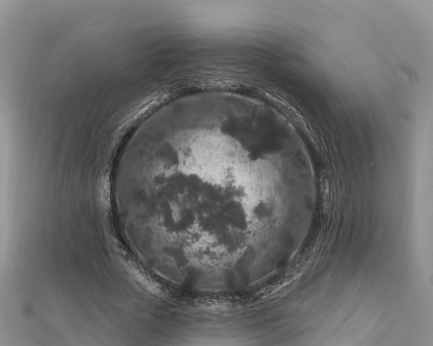 X0000112800729200908281527
