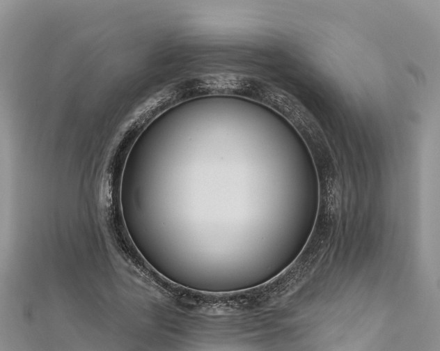 X0000112800731200908281528