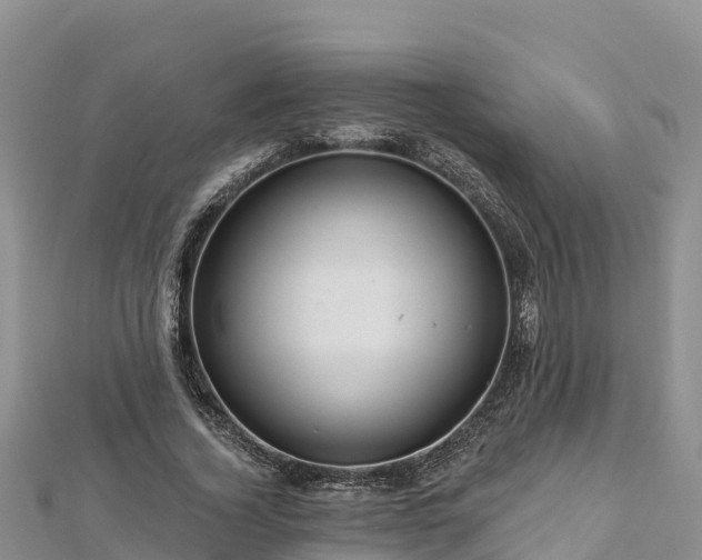 X0000112800732200908281528