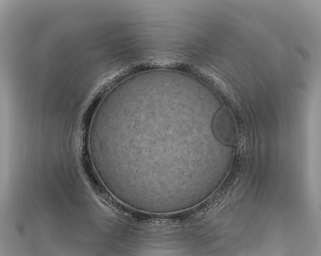 X0000112800736200908281528