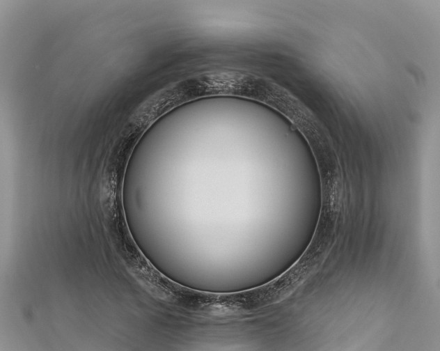X0000112800737200908281528