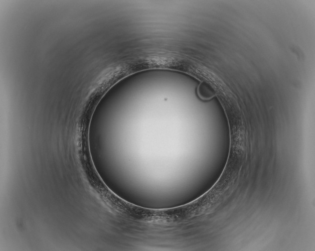 X0000112800738200908281528