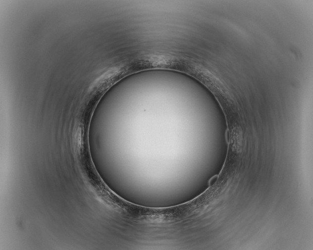 X0000112800740200908281528