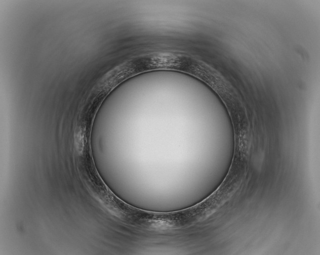 X0000112800741200908281528