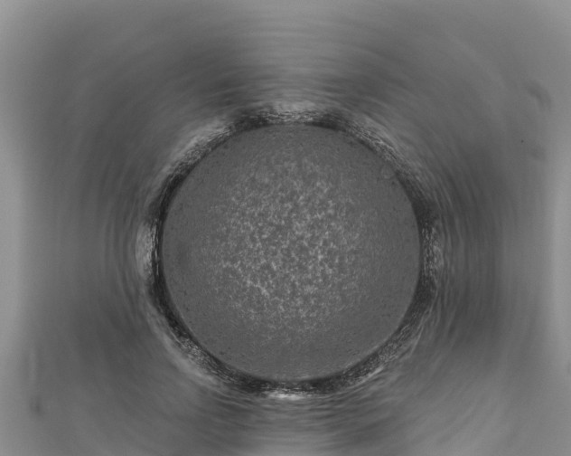X0000112800742200908281528