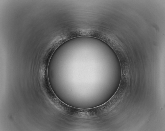 X0000112800744200908281528