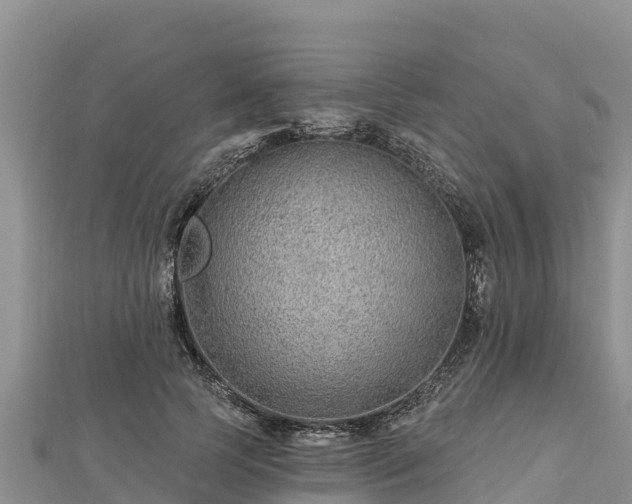 X0000112800745200908281528