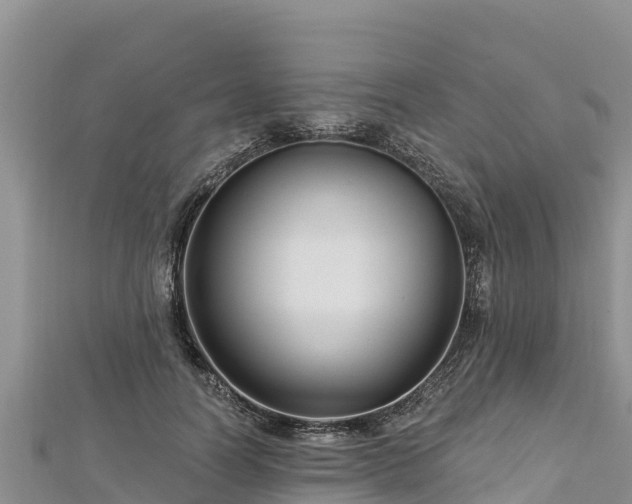 X0000112800746200908281528