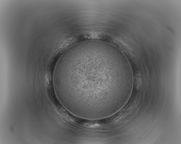 X0000112800747200908281528