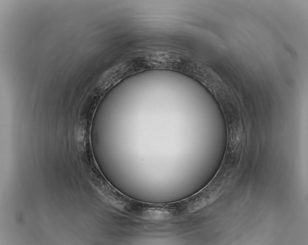 X0000112800749200908281528