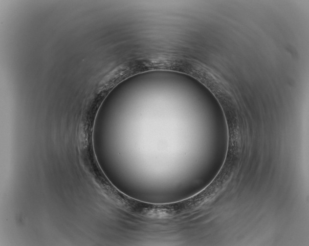 X0000112800751200908281528