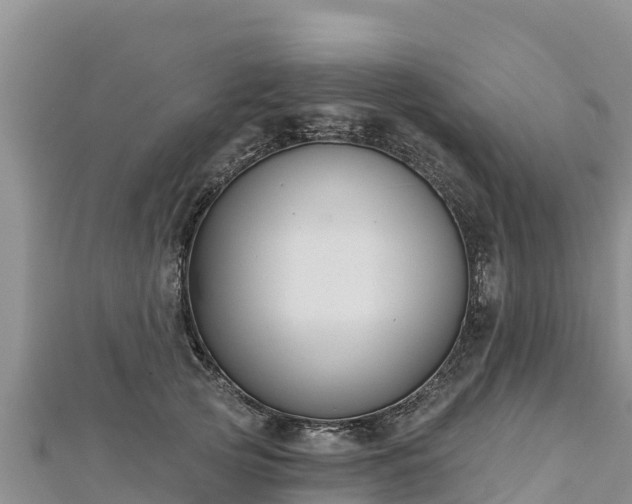 X0000112800753200908281528