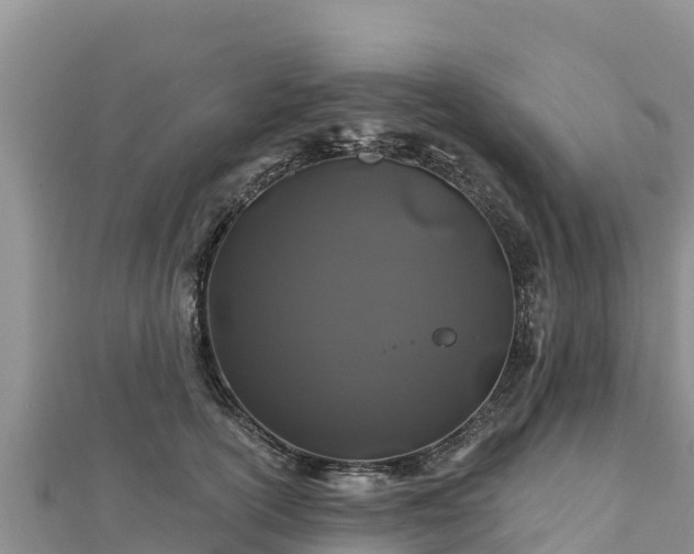 X0000112800754200908281528