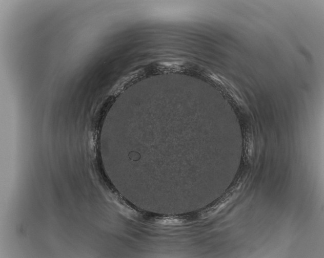 X0000112800759200908281528
