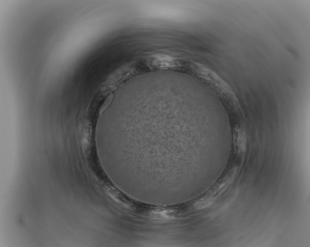 X0000112800760200908281528