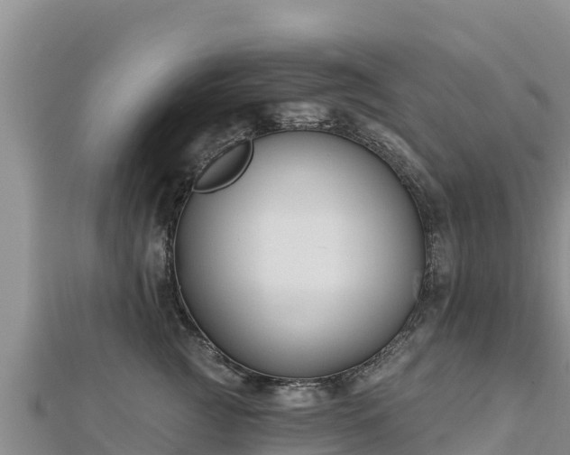X0000112800761200908281528