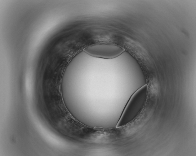 X0000112800764200908281528