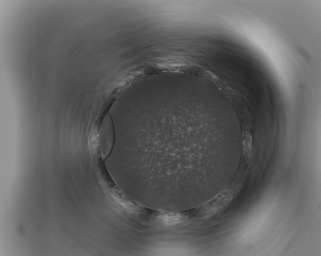 X0000112800767200908281528