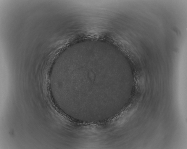 X0000112800769200908281527