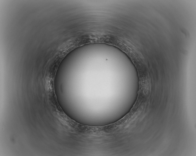 X0000112800770200908281527