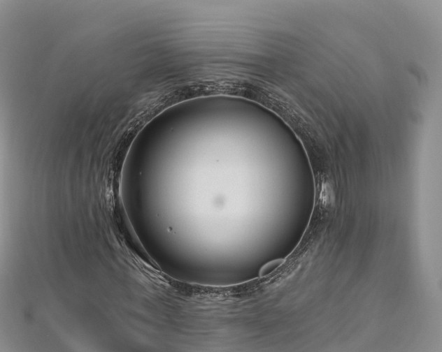 X0000112800771200908281527