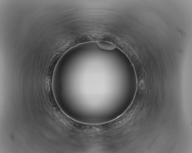 X0000112800772200908281527
