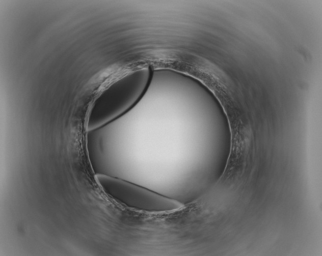 X0000112800773200908281527